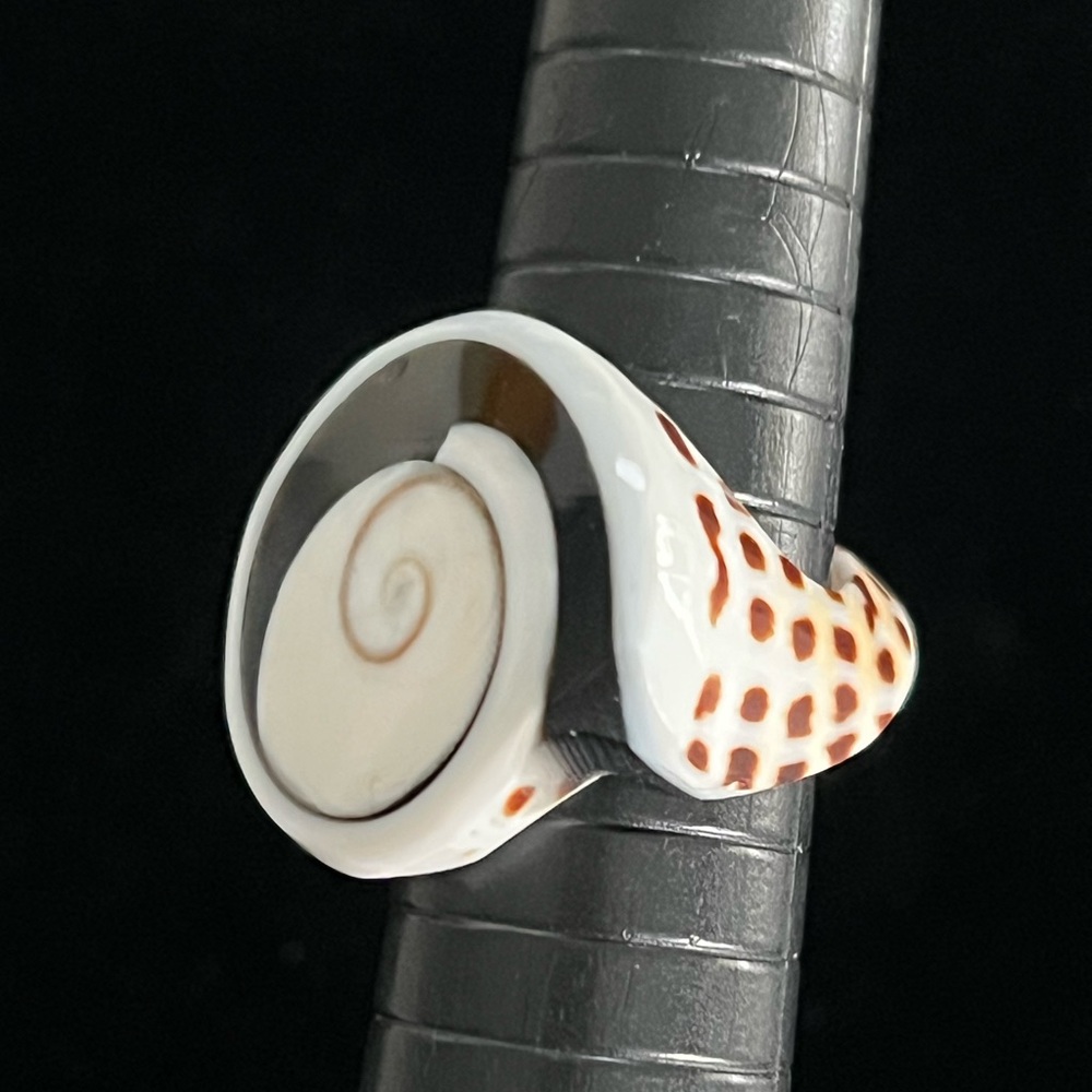 Shell Statement Round Large Ring White Black & Br… - image 2